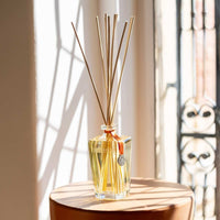 Diffuseur de Parfum Grand Format Ambre Précieux