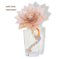Fleur Parfumée Grand Format Mandarine Bergamote